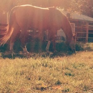 Meet your Posher, Emmy